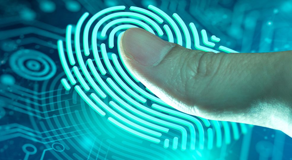 Florida Fingerprinting Made Easy: Walk-In, Scheduled, and Mobile Options